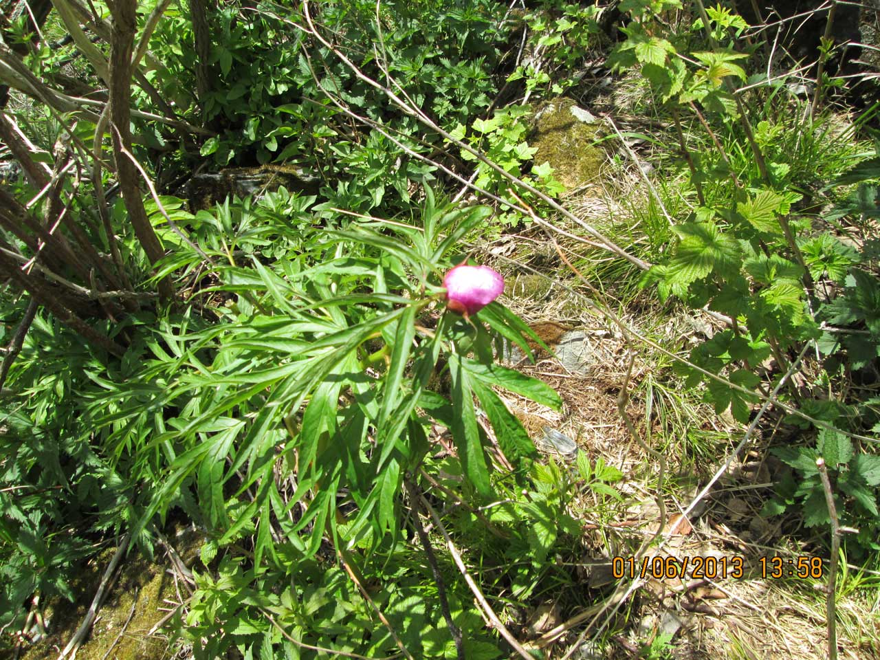 ���� - ������ ������.